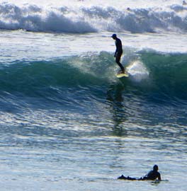 surfline ventura point overview