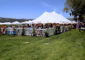 Ojai Wine Festival June 9th